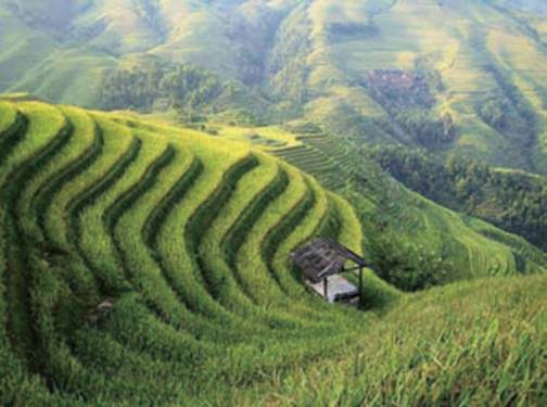 农田排灌、水利领域