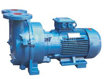 2BV/SKA双级直联水环真空泵